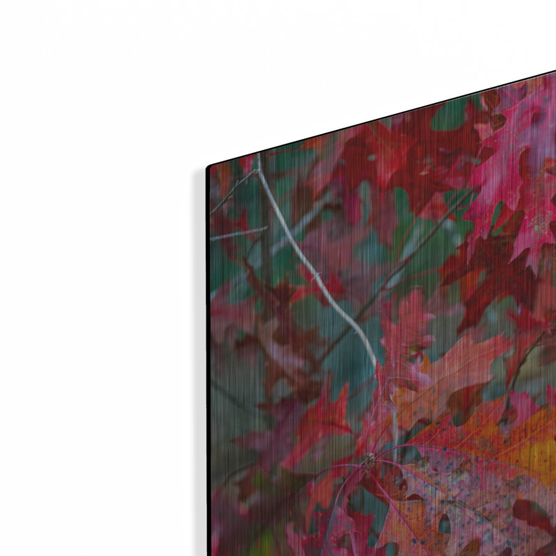 Art mural en métal luxueux «Autumn Oak Leaves» par Danny Head, 12 po x 16 po, H 16 po x l 12 po