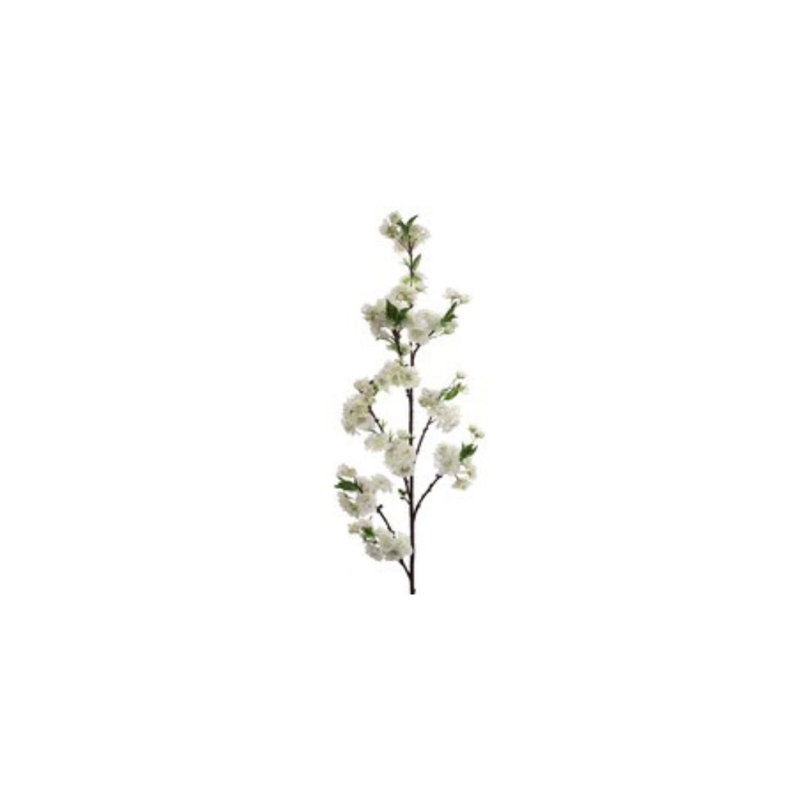 Arrangement de fleurs de cerisier