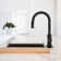 Pull Down Single Handle Kitchen Faucet With Deck Plate, Handles and Supply Lines