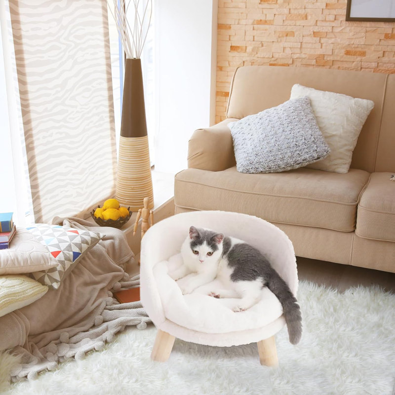 Canapé-lit pour chien avec coussin rembourré amovible Nott Dog, H 13 po x l 16,3 po x P 16,3 po