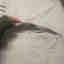 Photos des clients 2 de 5