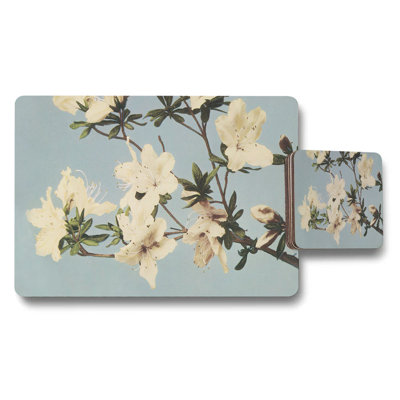 Butterfly Placemats and Coaster Set In Soft Blue Background