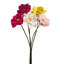 Bouquet de marguerites 15 po MODWOOL