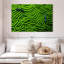 Corail vert Brampt-107847191