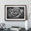 White Rose Flower Painting - Picture Frame Graphic Art-62765522-62765526
