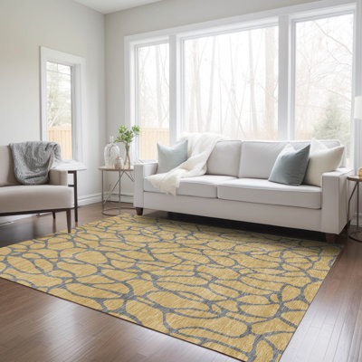  Machine Washable Indoor/Outdoor Chayden ACN1023 Rug