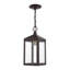 Lanterne suspendue d'extérieur 1 lumière H 14,5 po Inniss-1356581976