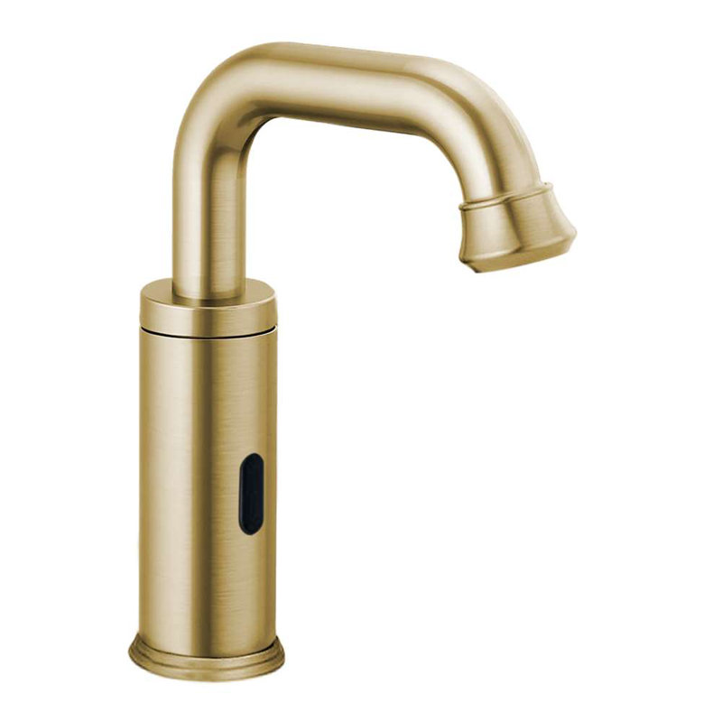 Ensemble de distributeur de savon FS10243