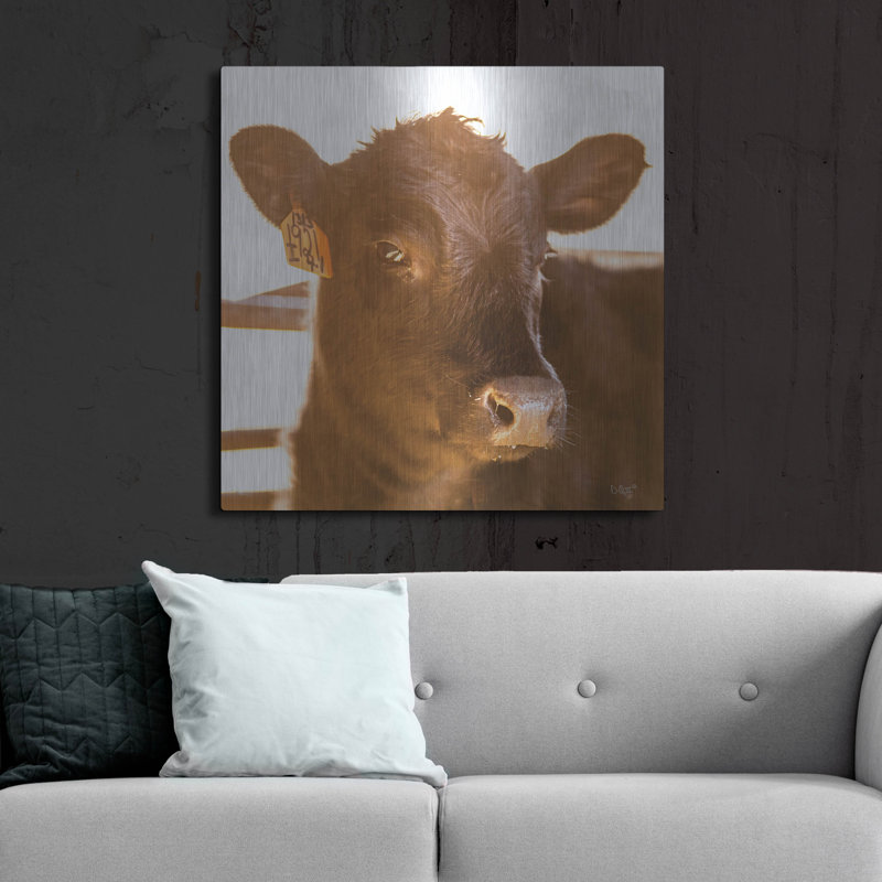 «Baby Cow I» par Donnie Quillen, H 36 po x l 36 po