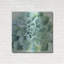 «Verdant Succulent II» par Grace Popp-185207701