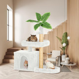 Braidyn-Drew 59'' H Cat Tree