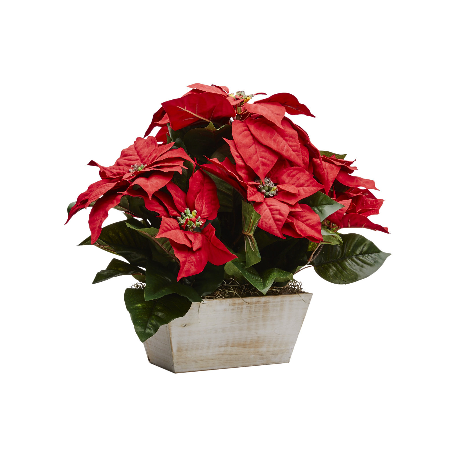 Poinsettia Floral Arrangements in Planter