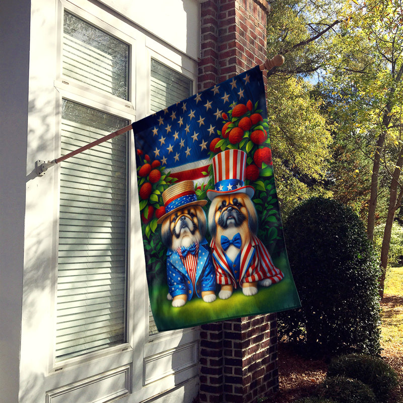 Drapeau «All American House», Étoile bleue / Pékinois à rayures rouges