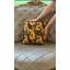 Square Throw Pillow