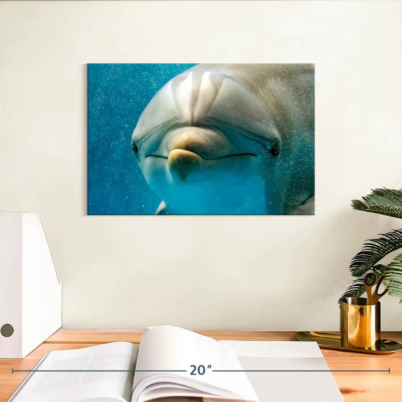 Brampt Nosy Dolphin, 8" H x 12" W