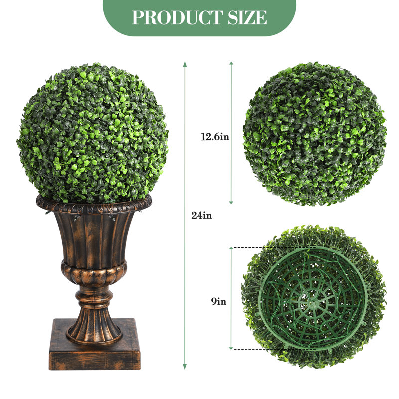 40cm Plant