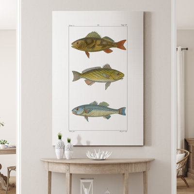 " Freshwater Fish I "