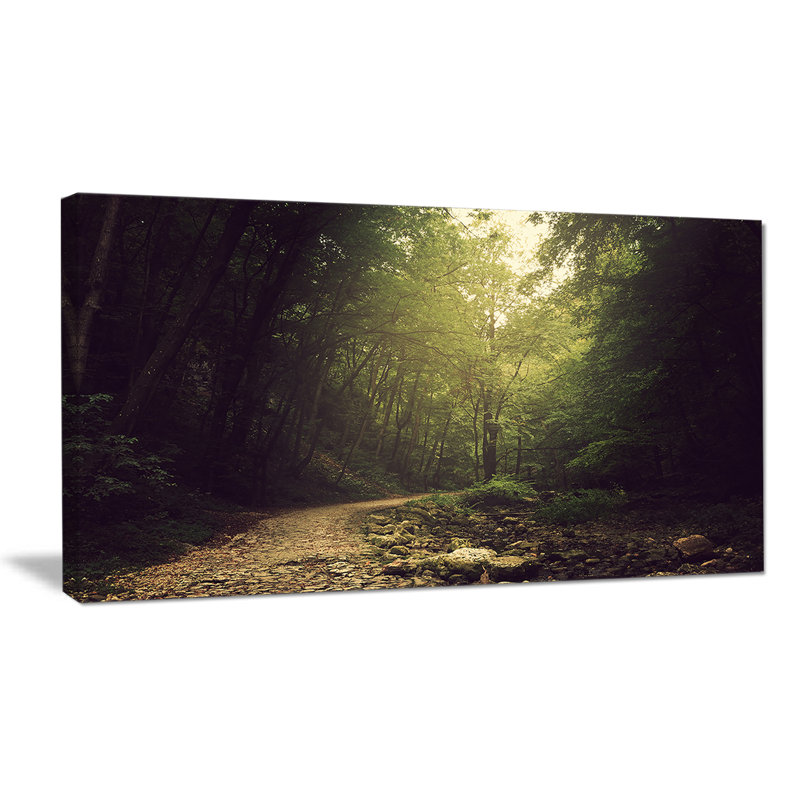 «Wild Way into the Dark Forest», reproduction de photo sur toile tendue, H 20 po x l 40 po x P 1po