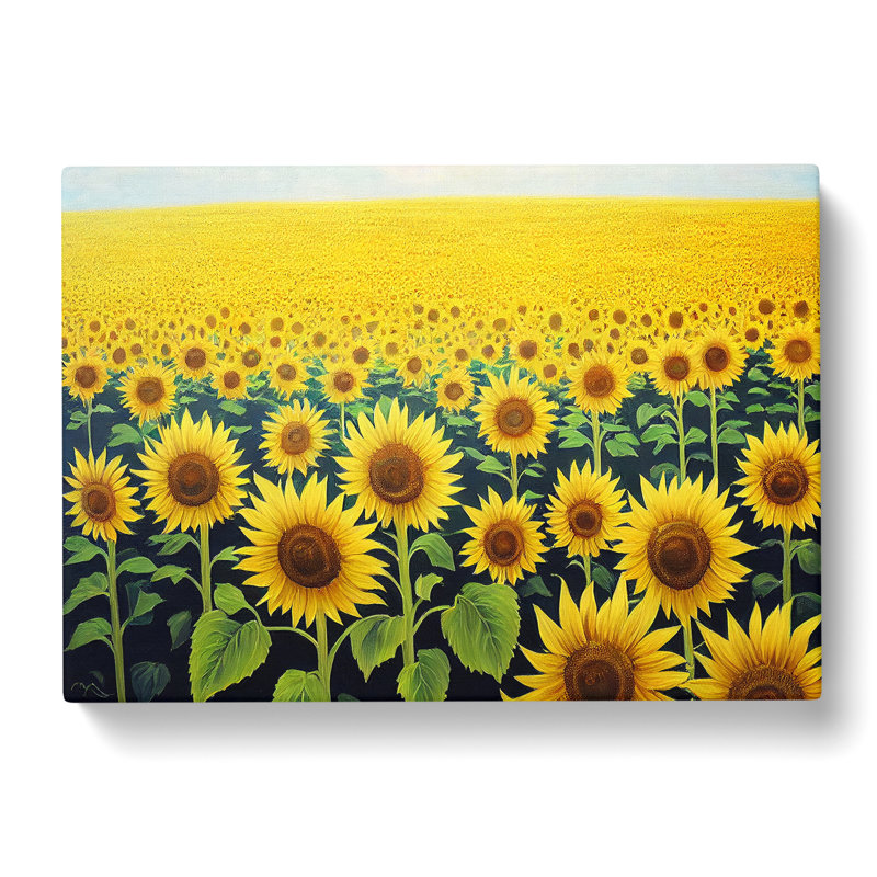 Soulful Sunflower Field - Wrapped Canvas, 40cm H x 60cm W x 3cm D