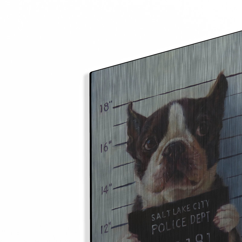«Mug Shot» par Lucia Heffernan, H 16 po x l 12 po