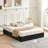 Juanetta Hydraulic Lift Up Storage Upholstered Platform Bed With Wooden Slats, Sturdy And No Noise, Easy Assembly-1664102675-1653758754