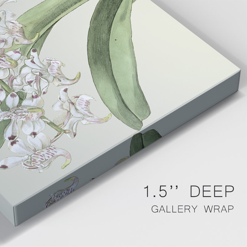 «Orchid Blooms I», impression sur toile tendue, H 36 po x l 24 po x P 1 po