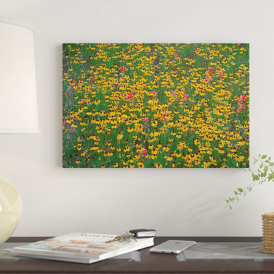 «Paintbrush and Coreopsis Meadow, Hill Country, Texas», reproduction de photo sur toile