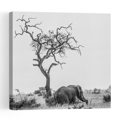 African Elephant Lone Tree Abstract Contemporary Landscape Nature Wall Art Print 1 Piece Wrapped Canvas Wall Art