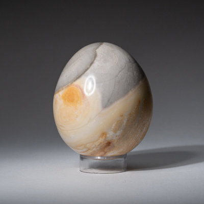 Genuine Polished Polychrome Jasper Egg from Madagascar (1.03 Lbs)