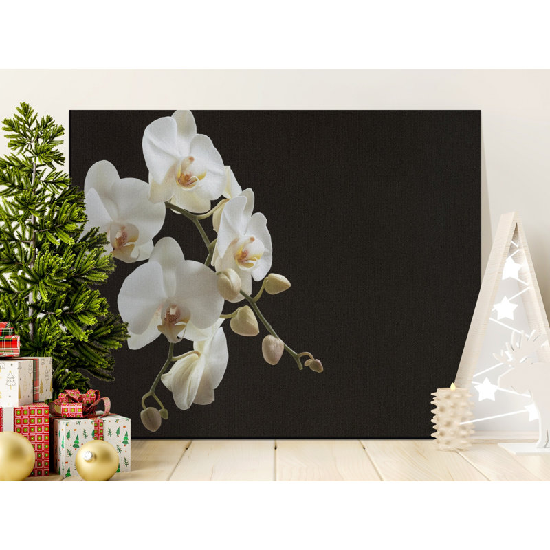 Schoenfeld Wrapped Canvas Print Set, 30x15