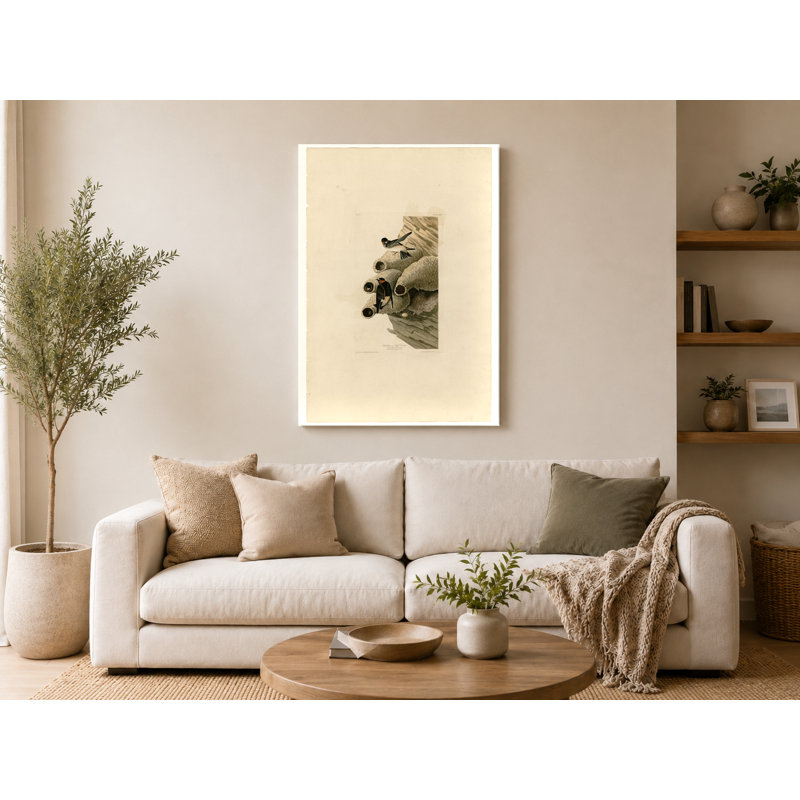 Republican or Cliff Swallow, Plate 68 - Portrait, art mural sur toile, 20" W x 16" H