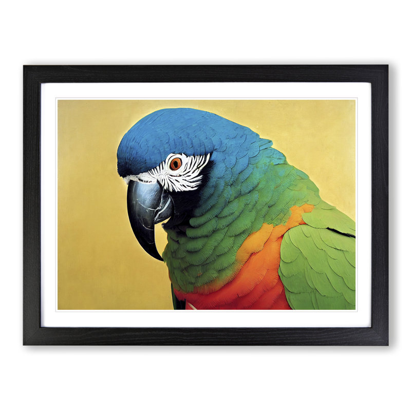 XH1022-9718X Vivid Parrot - Single Picture Frame Print, Black, 46cm H x 64cm W