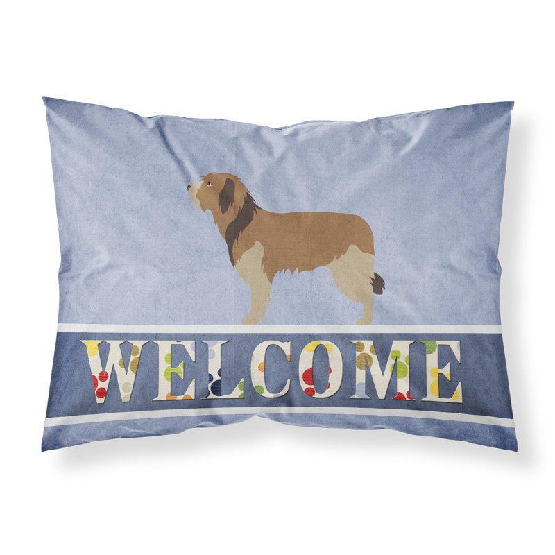 Microfiber, Catalan Sheepdog