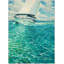 Sailing