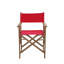 Folding Director Chair