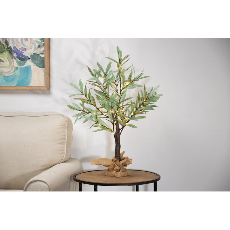 24 Inch High Olive Tree with 36 LED Lights, 24" H x 4.33" W x 4.33" D