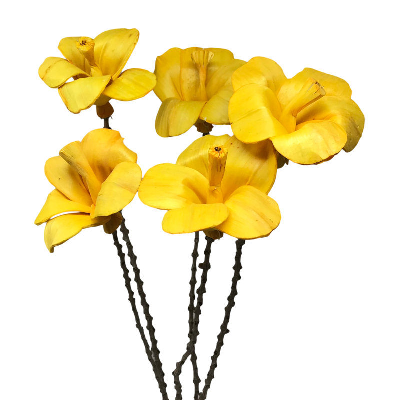 Esquina Hibiscus Arrangement, Yellow