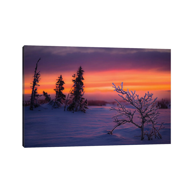 Wintermorning by Anders Jorulf - Wrapped Canvas Print, 101.6 cm H x 66.04 cm W