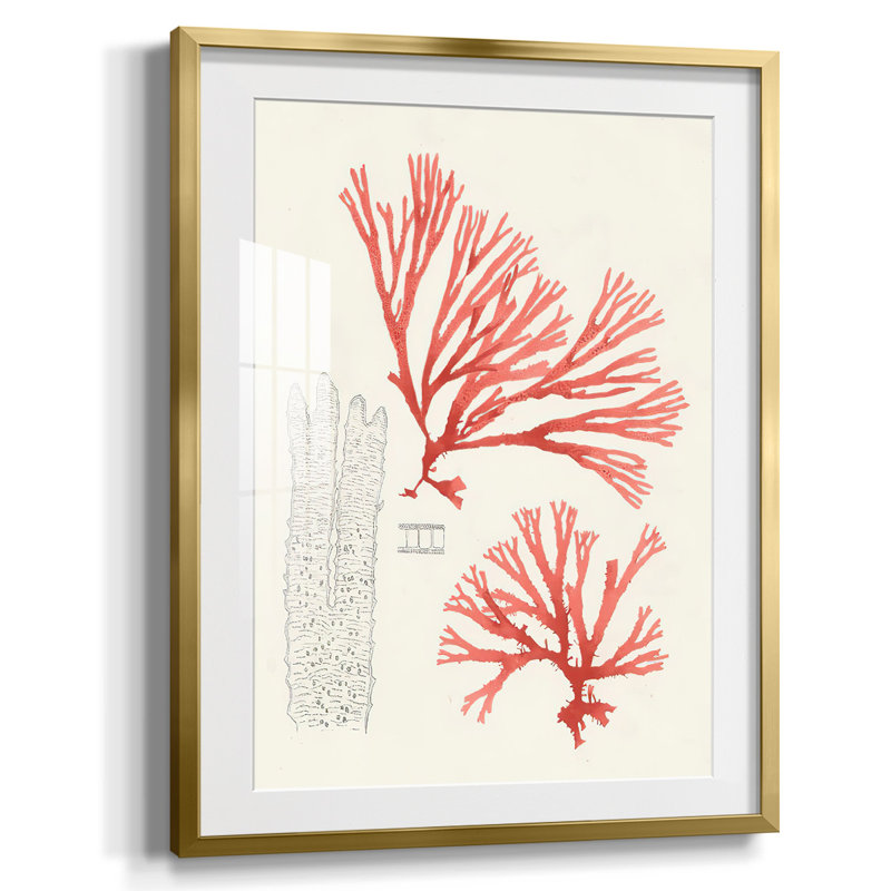 " Walking Through Waddesdon Gardens ", Gold Framed Paper, White