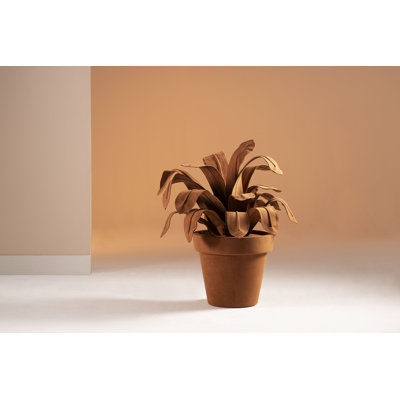 Urn Plant Medium Terracota