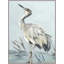 Perched Heron 1 Print