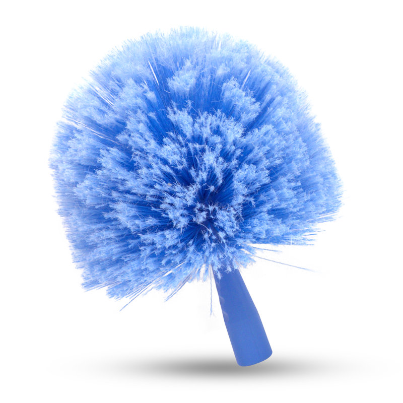 Brosse à toile d'araignée, 6 6/16 po