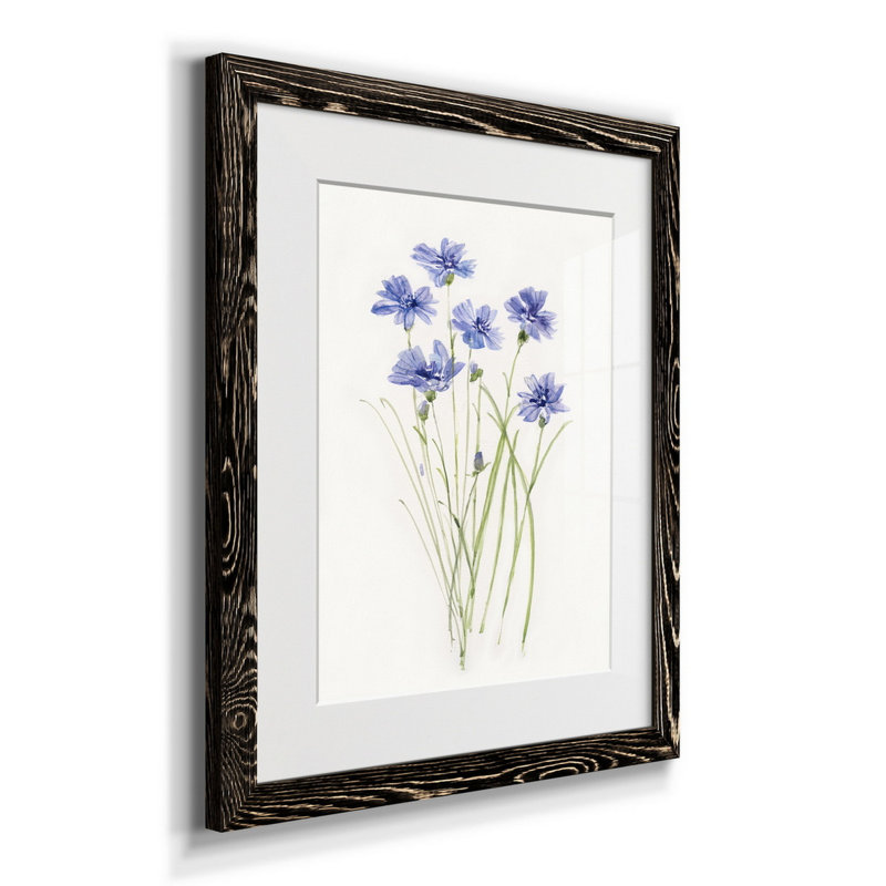 Bleuet botanique délicat - impression, H 20 po x l 17 po x P 1 po, Noir