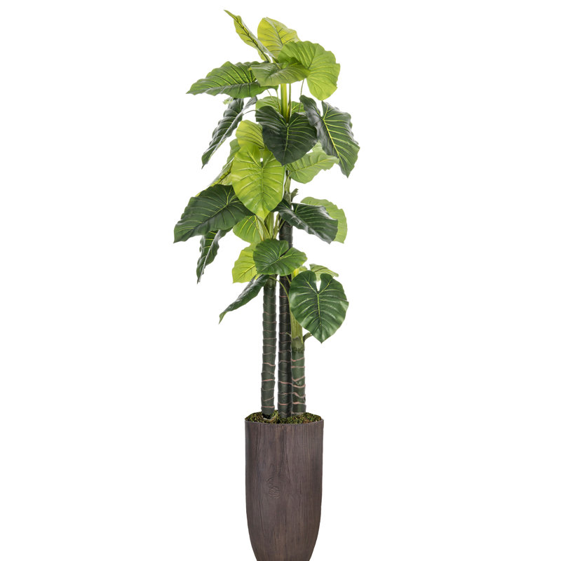 Panama Foliage Tree in Resin Planter