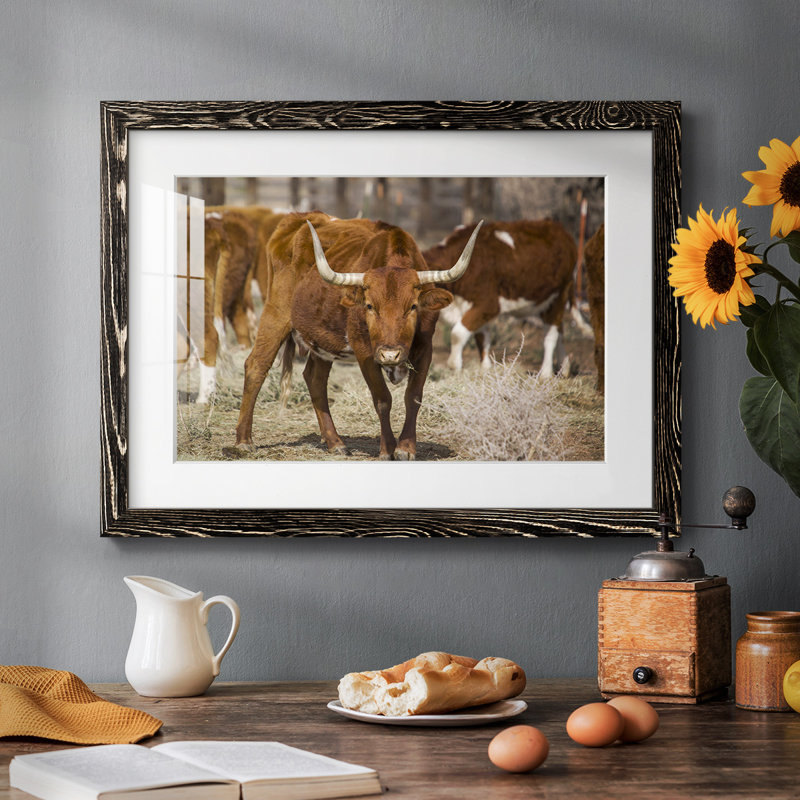 Longhorns, H 14 po x l 20 po x P 1,5 po, Noir
