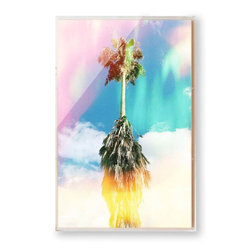 Aurora Palm par Brooke Wilen, Boîte-cadre, H 24 po x l 36 po