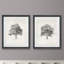 «Vintage Arbor Study I», ensemble de 2 reproductions d'art sur papier encadrées