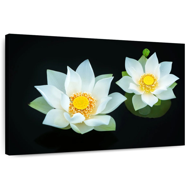 Harnek Lotuses On Black, 24" H x 36" W