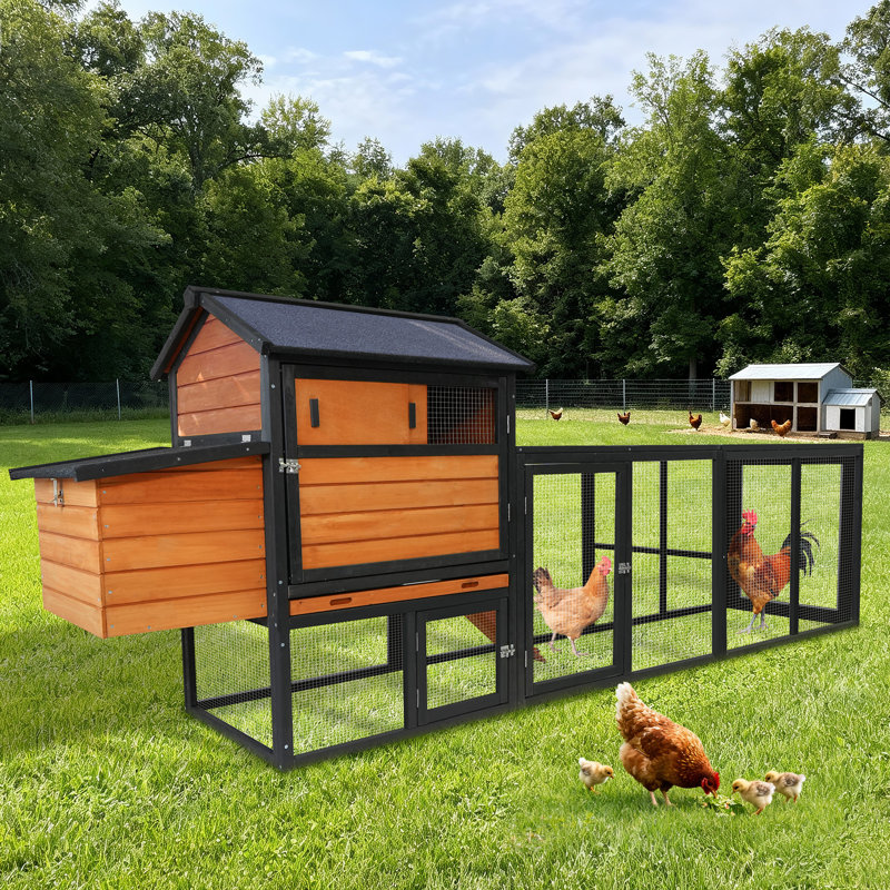 Cage à poulets en bois brun L 114,06 po x l 25,48 po x H 42,32 po 1 pièce
