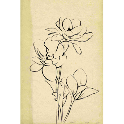 " Magnolia Sketch II "